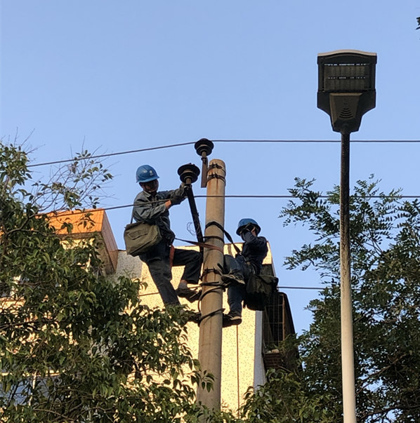 新京葡萄威尼斯